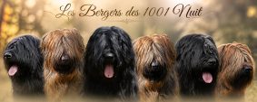 GAEC LES BERGERS DES 1001 NUITS