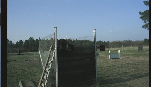 DELVA JACQUES - Image 9