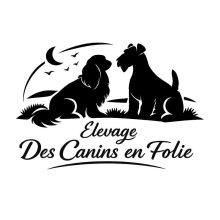 DES CANINS EN FOLIE