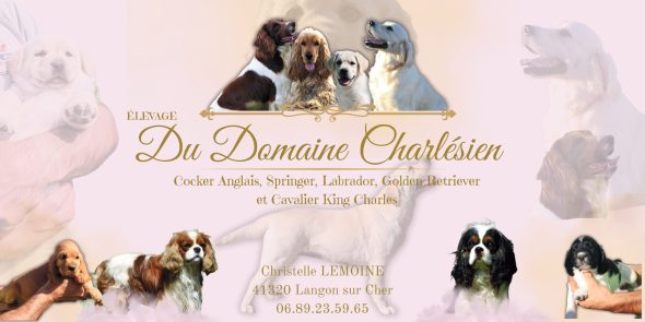 DU DOMAINE CHARLESIEN - Image 1