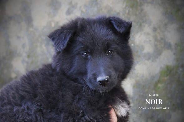 DOMAINE NOX WELL - Image 38