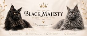 Of Black Majesty