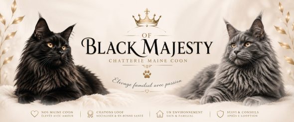 Of Black Majesty - Image 1