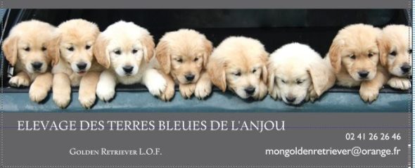 DES TERRES BLEUES DE L&rsquo;ANJOU - Image 1