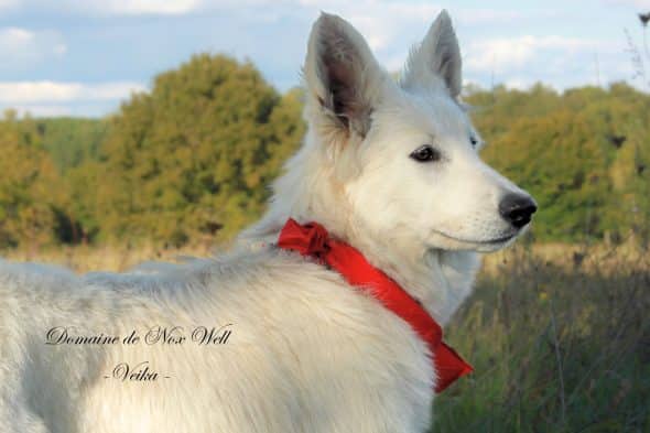 DOMAINE NOX WELL - Image 1
