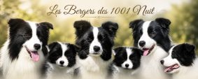 GAEC LES BERGERS DES 1001 NUITS