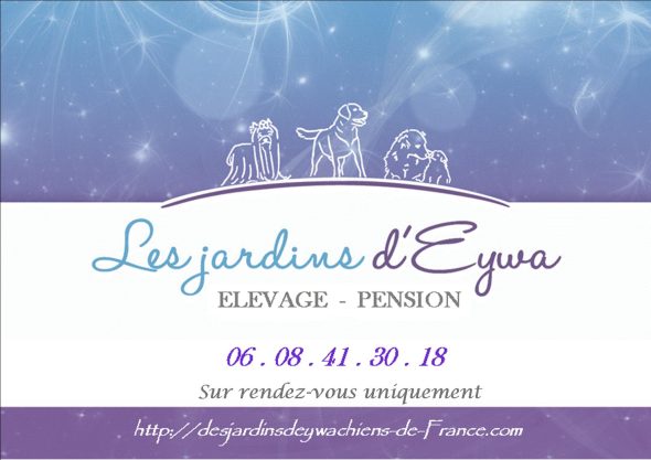 LES JARDINS D EYWA - Image 5