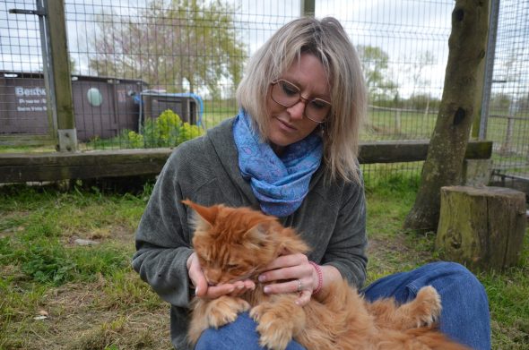 CHATTERIE DE L ILE BOISSEAU - Image 7