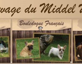 ELEVAGE DU MIDDEL WEG