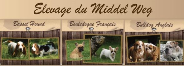ELEVAGE DU MIDDEL WEG - Image 1