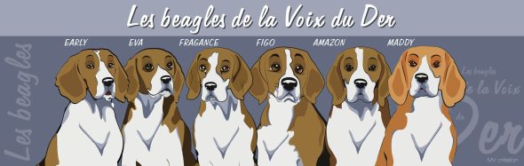 ELEVAGE DE LA VOIX DU DER - Image 1