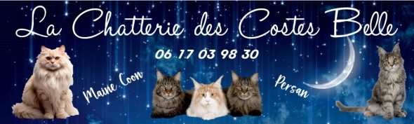 CHATTERIE DES COSTES BELLE - Image 1