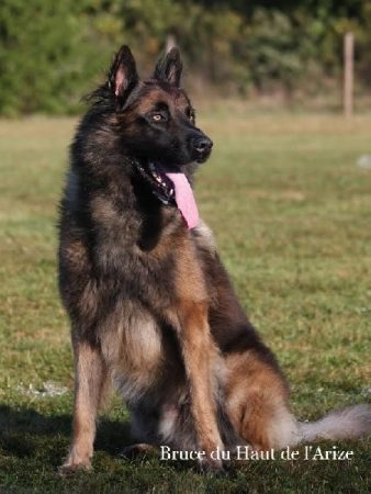 VICAT AURORE - Image 1