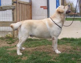 EARL DU JARDIN DES OLIVIERS
