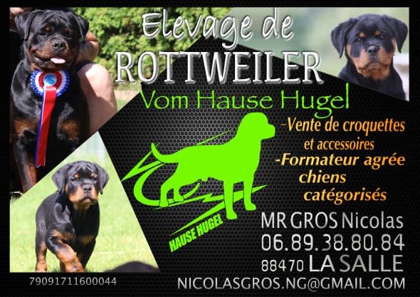 VOM HAUSE HUGEL - Image 1