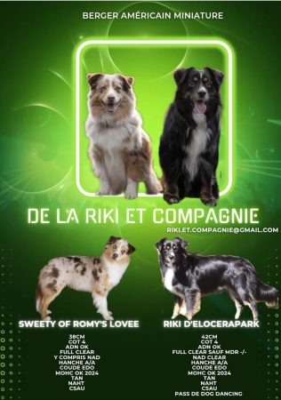 DE LA RIKI ET COMPAGNIE - Image 4