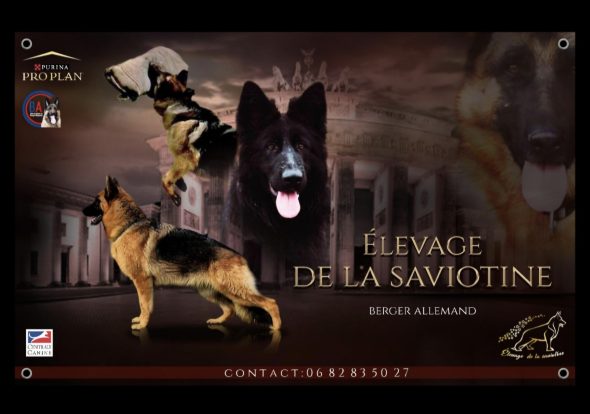 DE LA SAVIOTINE - Image 9