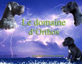 DOMAINE D&rsquo;ORTHOS