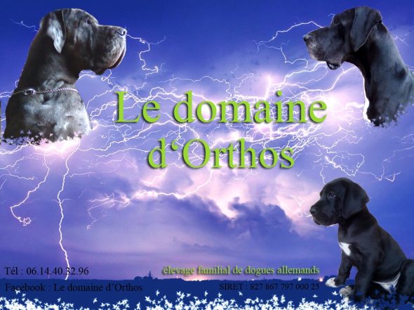 DOMAINE D&rsquo;ORTHOS - Image 1