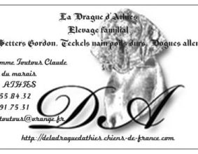 TOUTOUS CLAUDE