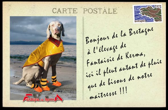 FANTAISIE DE KERMA - Image 1