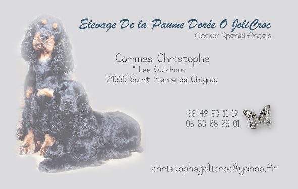 LE PARADIS DE MARTY - Image 1