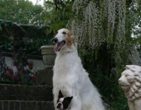 COMBIS MARIE HELENE