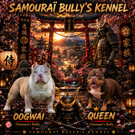 Image de la portée de chiot de l'élévage SAMOURAI BULLY &lsquo;S KENNEL