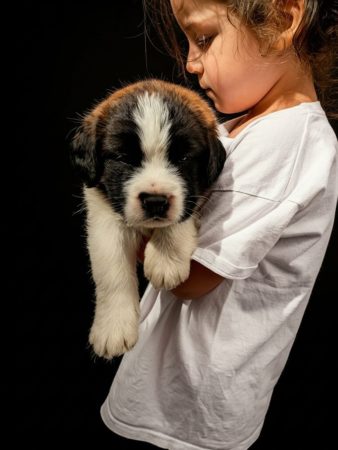 Image de la portée de chiot de l'élévage De la ferme du Conquérant
