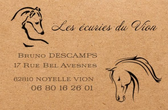 Image de la portée de chiot de l'élévage DESCAMPS BRUNO