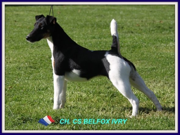 BRETON MAGALI - Image 6