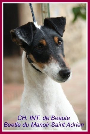BRETON MAGALI - Image 1