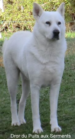 DE ROC NOIR ET DE SABLE BLANC - Image 8