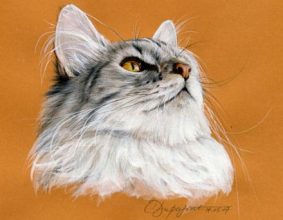 DE LA NATTE A CHATS