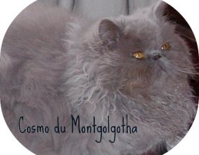 CAZIN JACQUES