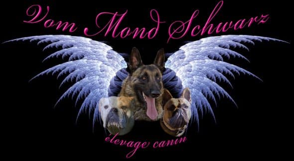 VOM MOND SCHWARZ - Image 2