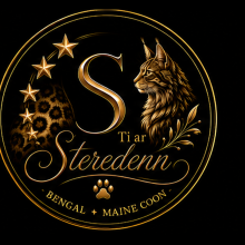 Diouz ti ar Steredenn