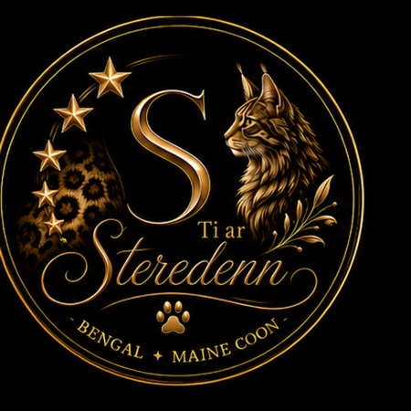 Diouz ti ar Steredenn - Image 5