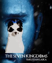 THE SEVEN KINGDOMS