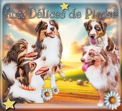 Aux délices de Pim&rsquo;se