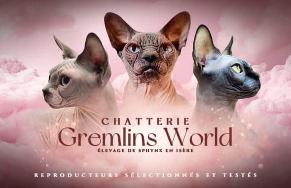 LA CHATTERIE GREMLINS WORLD - Image 1