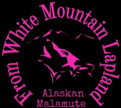 FROM WHITE MOUNTAIN LAPLAND