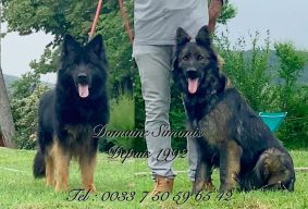 DOMAINE SIMONIS