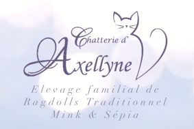 D&rsquo;Axellyne
