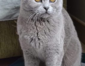 LA CHATTERIE DE LA VALLEE