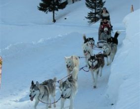 PARANTHOEN MARIE FRANCOISE