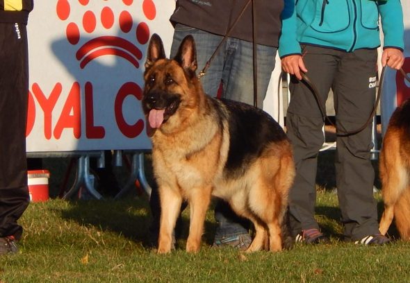 LEMAITRE JACQUELINE - Image 4
