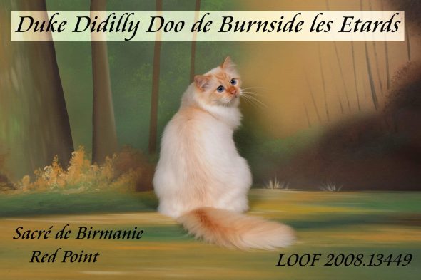 NIOCHAUT ANNIE - Image 1