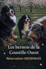 DE LA COUSTILLE OUEST