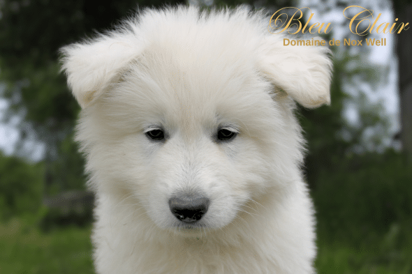 DOMAINE NOX WELL - Image 30